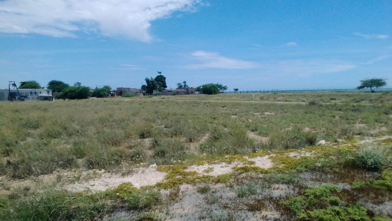 TERRENOS EM BENGUELA - VALE DO CAVACO (CAUANGU)