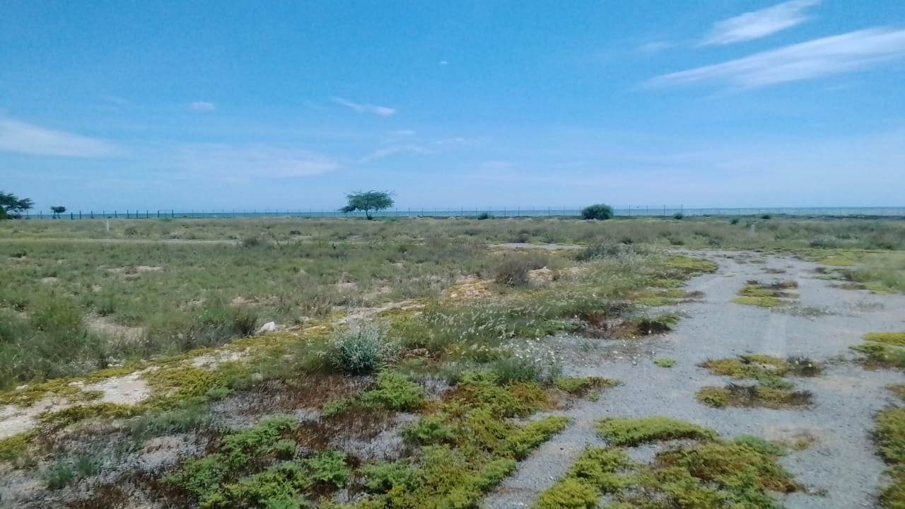 TERRENOS EM BENGUELA - VALE DO CAVACO (CAUANGU)