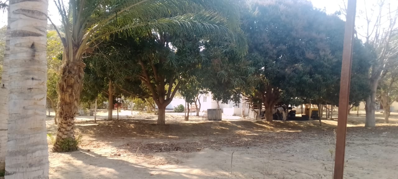 QUINTA EM ÁREA TURÍSTICA NA BAIA FARTA (BENGUELA)