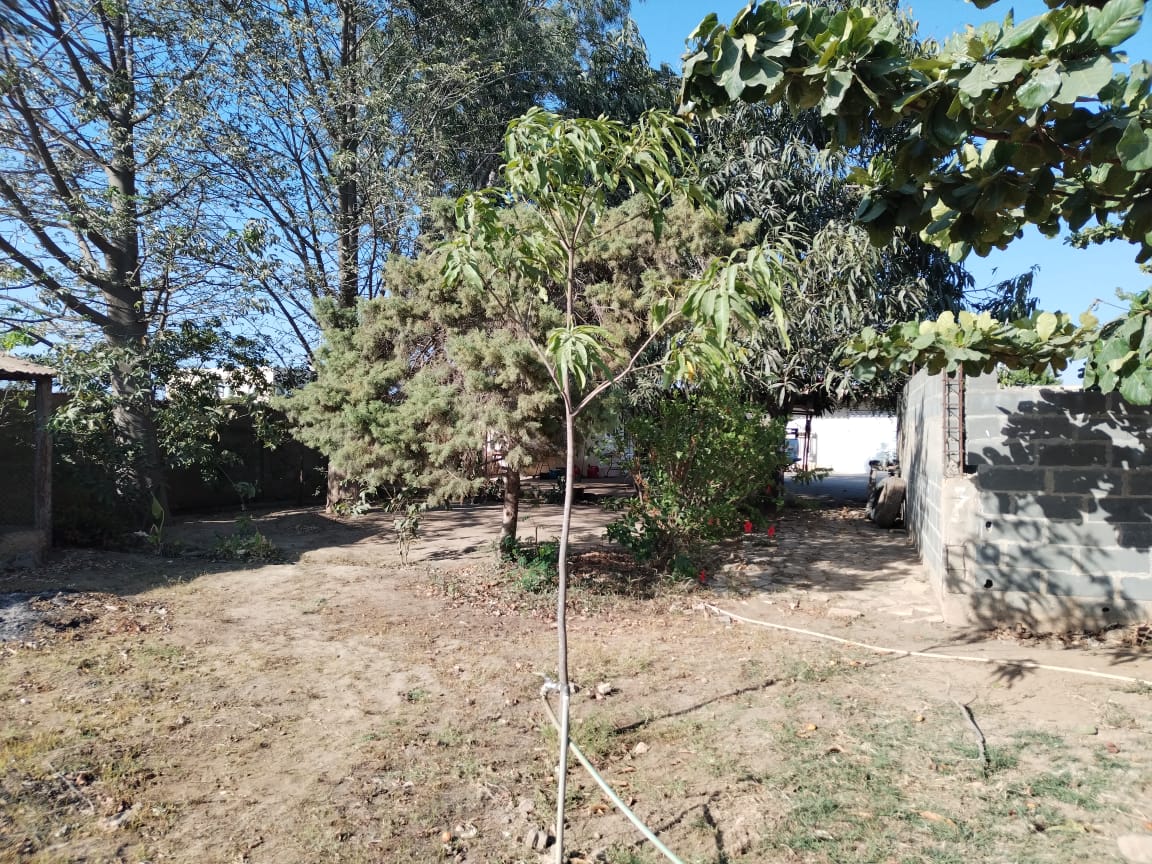 VENDER: TERRENO NA CAPONTY CITY EM BENGUELA