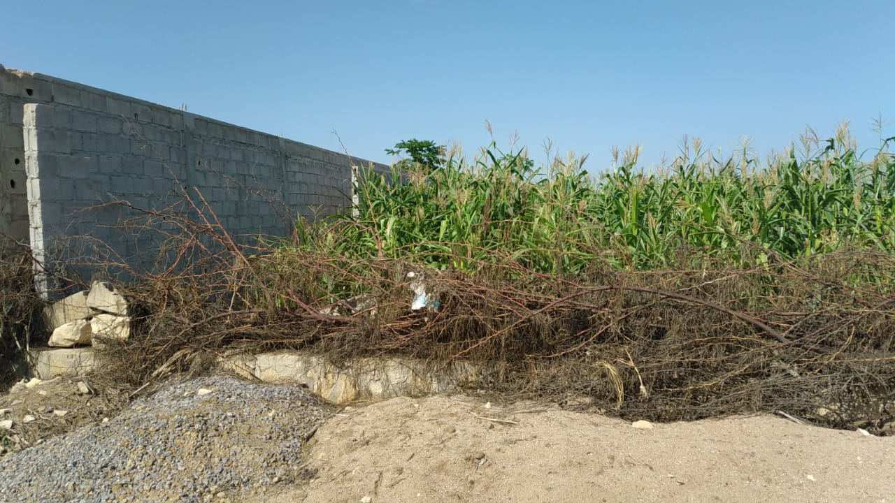 VENDER TERRENO EM CATUMBELA GAMA