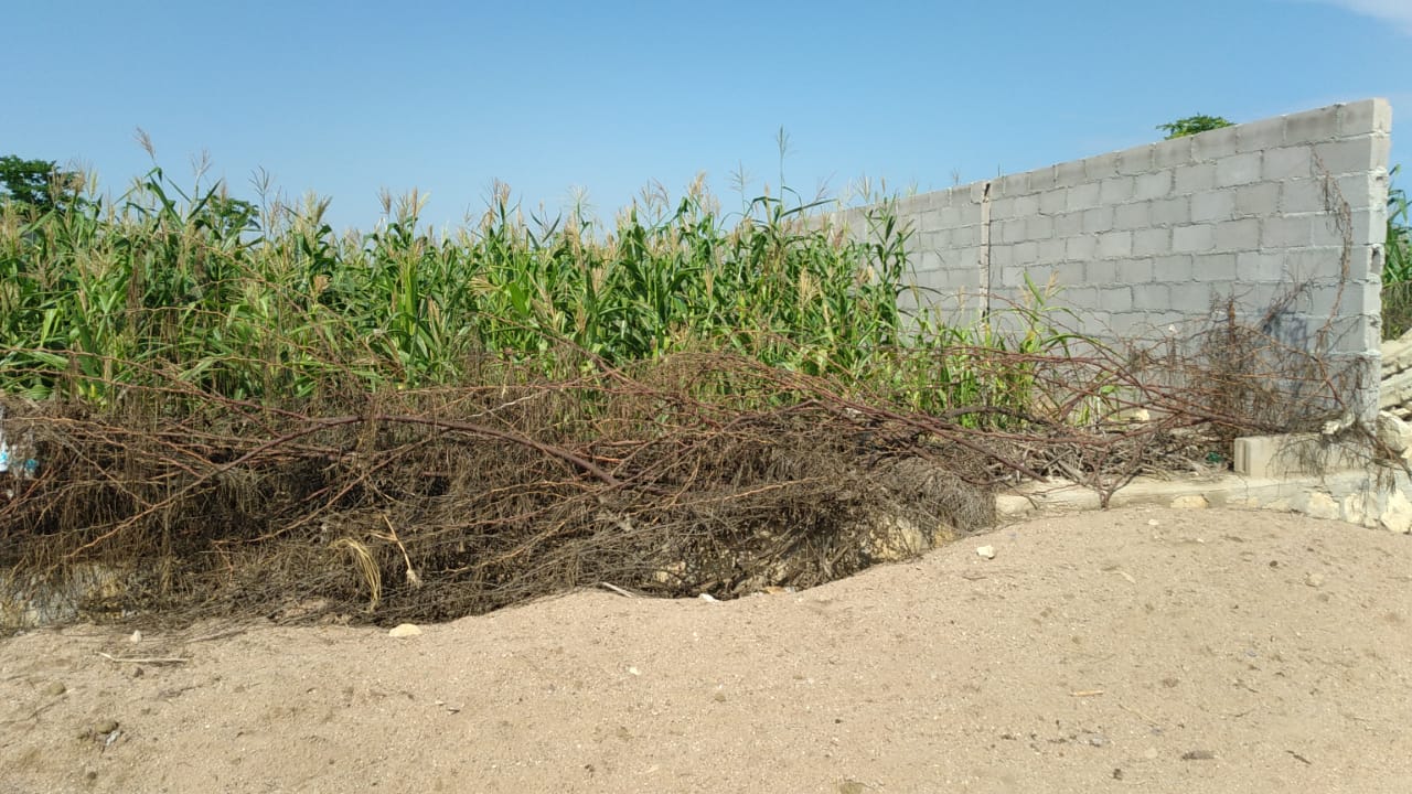 VENDER TERRENO EM CATUMBELA GAMA